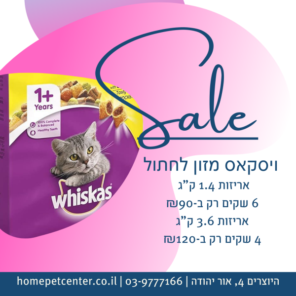 ויסקאס מזון לחתול במבצע חד פעמי !