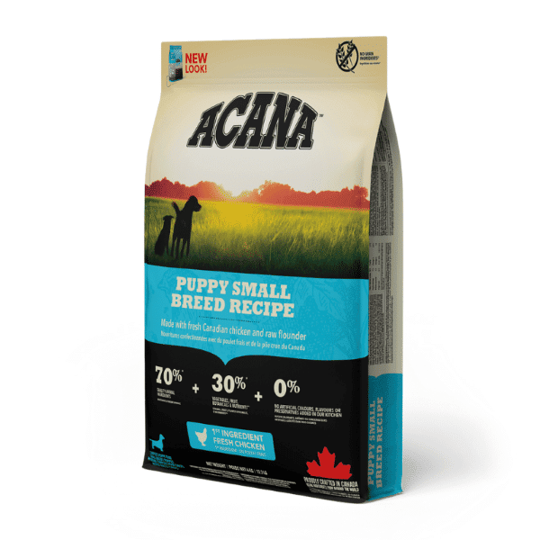 אקאנה הריטג’ גור גזע קטן