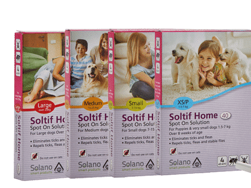 סולטיף אמפולות לכלב לפי משקל