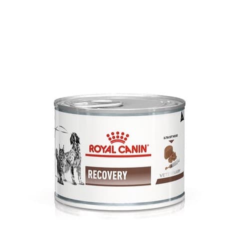 רויאל קנין ריקברי שימור רפואי לכלב ולחתול 195 גרם