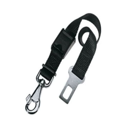 רצועת בטיחות לכלב