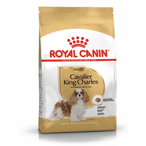 רויאל קנין מזון לכלב מגזע קינג צ’ארלס ROYAL CANIN