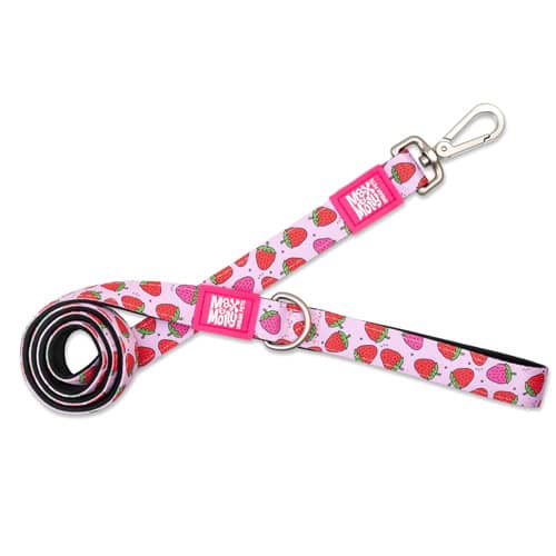 מקס אנד מולי רצועה דגם סטראברי לכלב