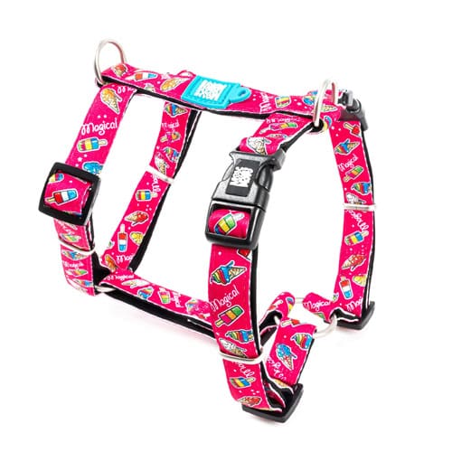 מקס אנד מולי רתמה דגם מג’יק לכלב