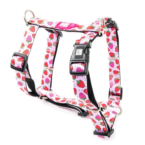 מקס אנד מולי רתמה דגם סטראברי לכלב