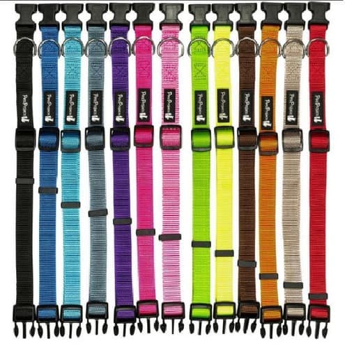 Pets Project קולר בייסיק לכלב במגוון מידות