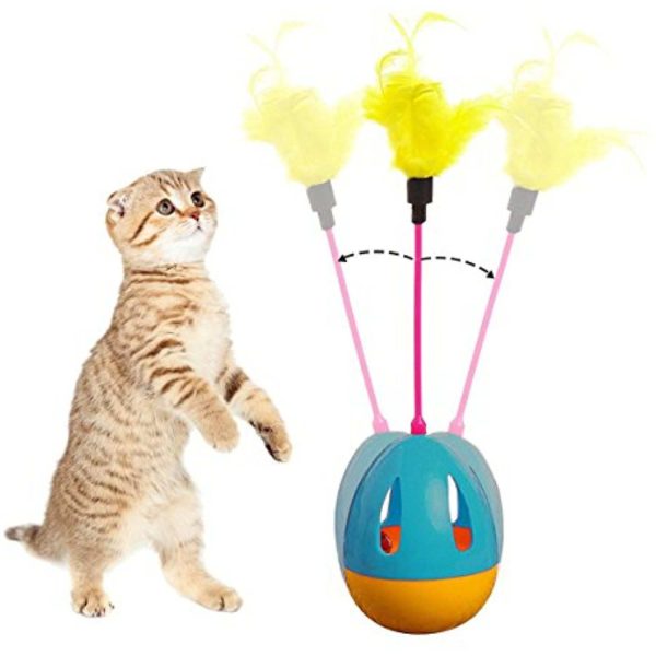 פאוויז משחק לחתול עם נוצה