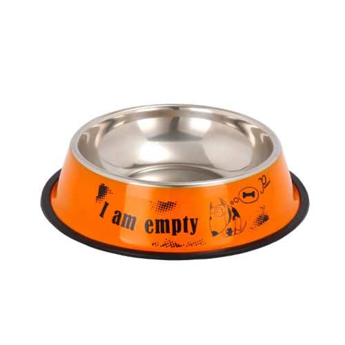 קערת אוכל גדולה “I am empty” מעוצבת לכלב ולחתול