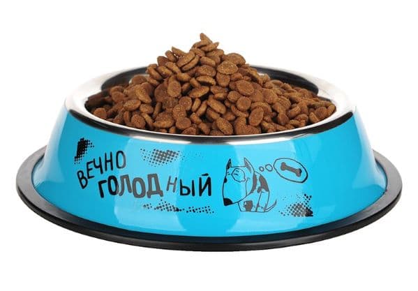 קערת אוכל קטנה מעוצבת כיתוב ברוסית לכלב ולחתול