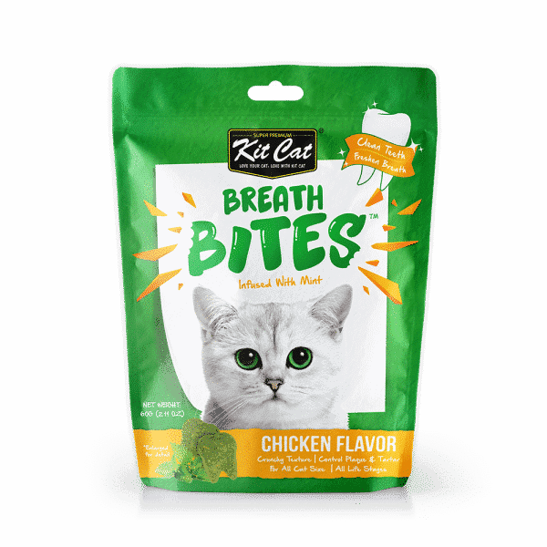 קיט קט עוף חטיף דנטלי לחתול 60 גרם