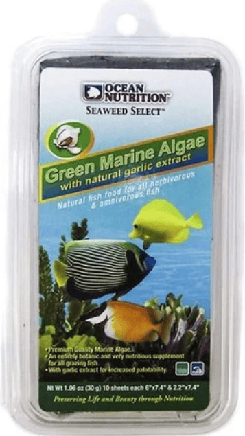 אושן נוטרישן אצת ים ירוקה