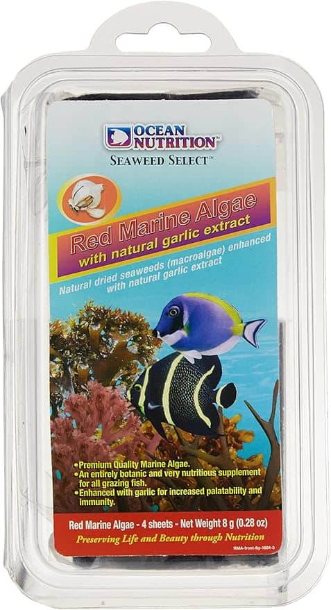 אושן נוטרישן אצת ים אדומה בתוספת תמצית שום