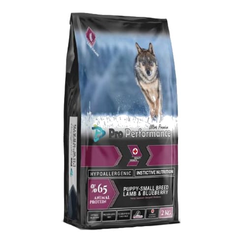 פרו פרפורמנס פאפי כבש לגור מגזע קטן