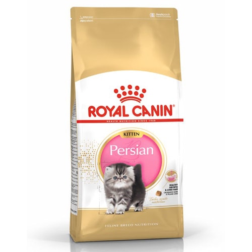 רויאל קנין מזון לגור חתולים פרסי