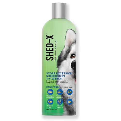 סנרגי שדקס שמן דגים למניעת נשירה