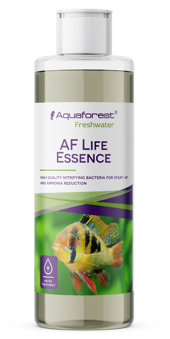 AF Life Essence תכשיר בקטריות לשיפור בריאות האקווריום