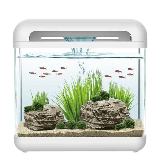 איזי טנק אקווריום דקורטיבי עם מפל במידות לבחירה