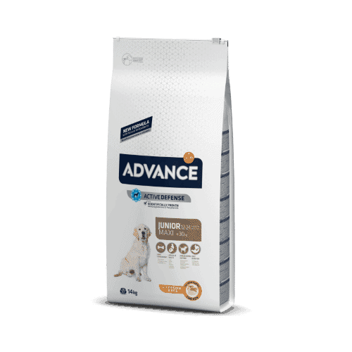 אדוונס ג'וניור לכלב צעיר מגזע גדול 14 Kg