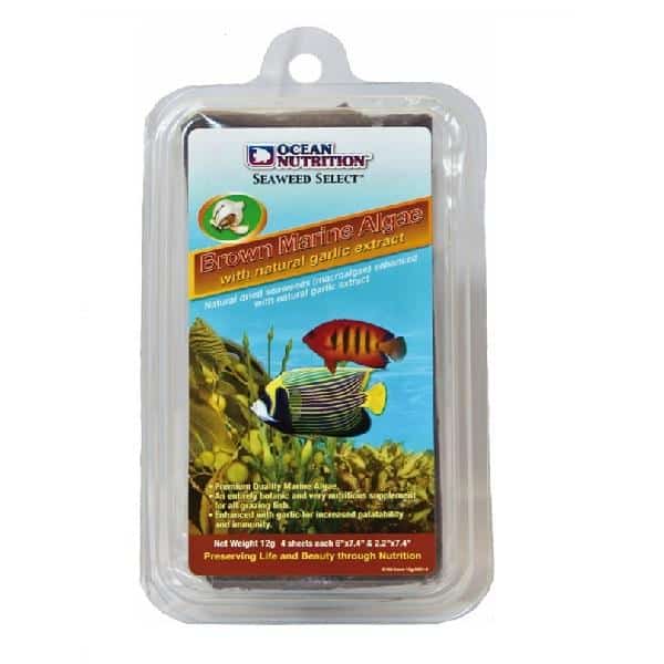 Ocean Nutrish Well -brown seaweed plus garlic